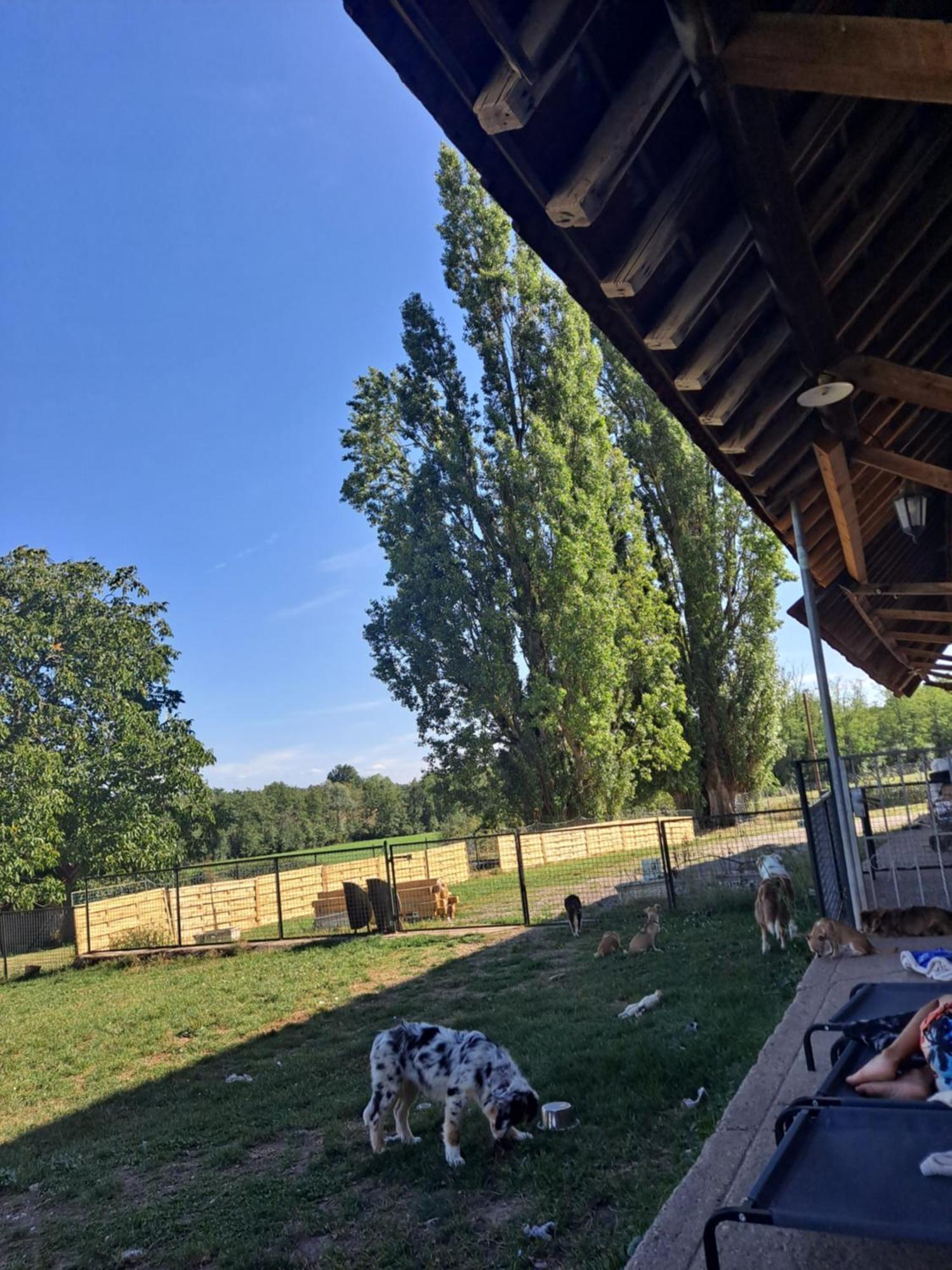 Les Lutins Reveurs Appartement Montagny-pres-Louhans Buitenkant foto